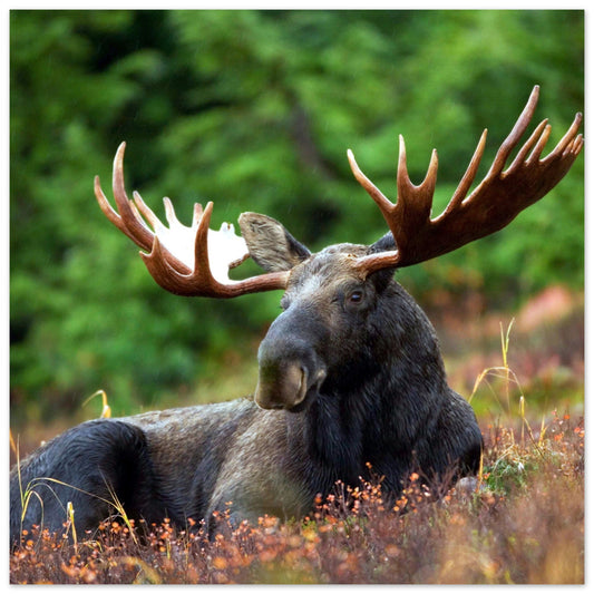 09cdeb12-a33d-48b3-b343-3257a1ed9fa6