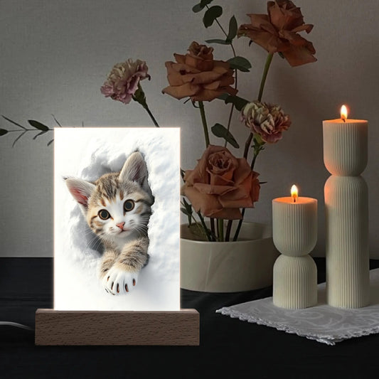 Emerging Kittens - Rectangular LED Acrylic Night Light and Wooden Base Table Décor