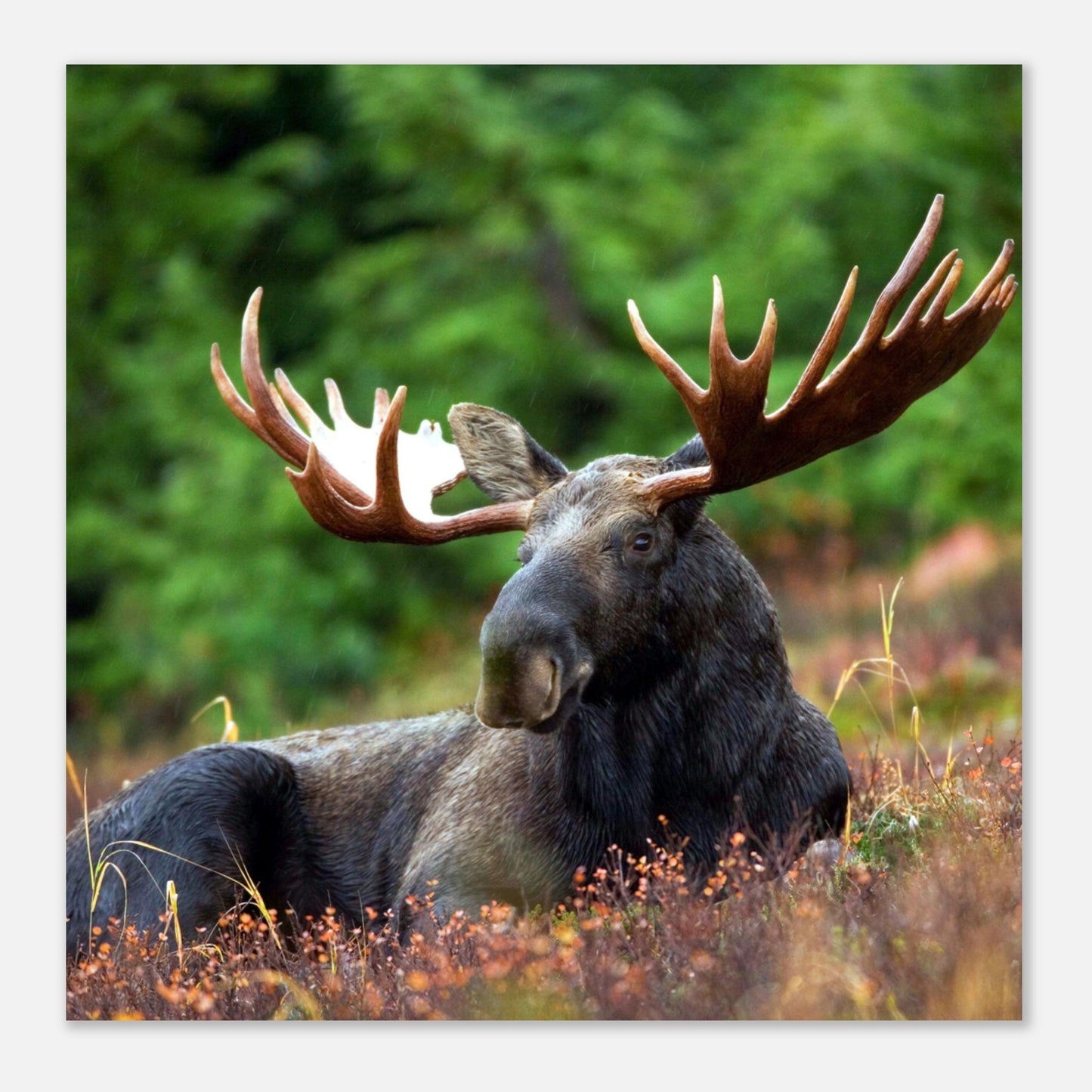 4fdcfd38-e856-46e7-a88c-a49dca696ebb