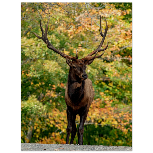 d2056973-5beb-4d68-ad6d-820488183791