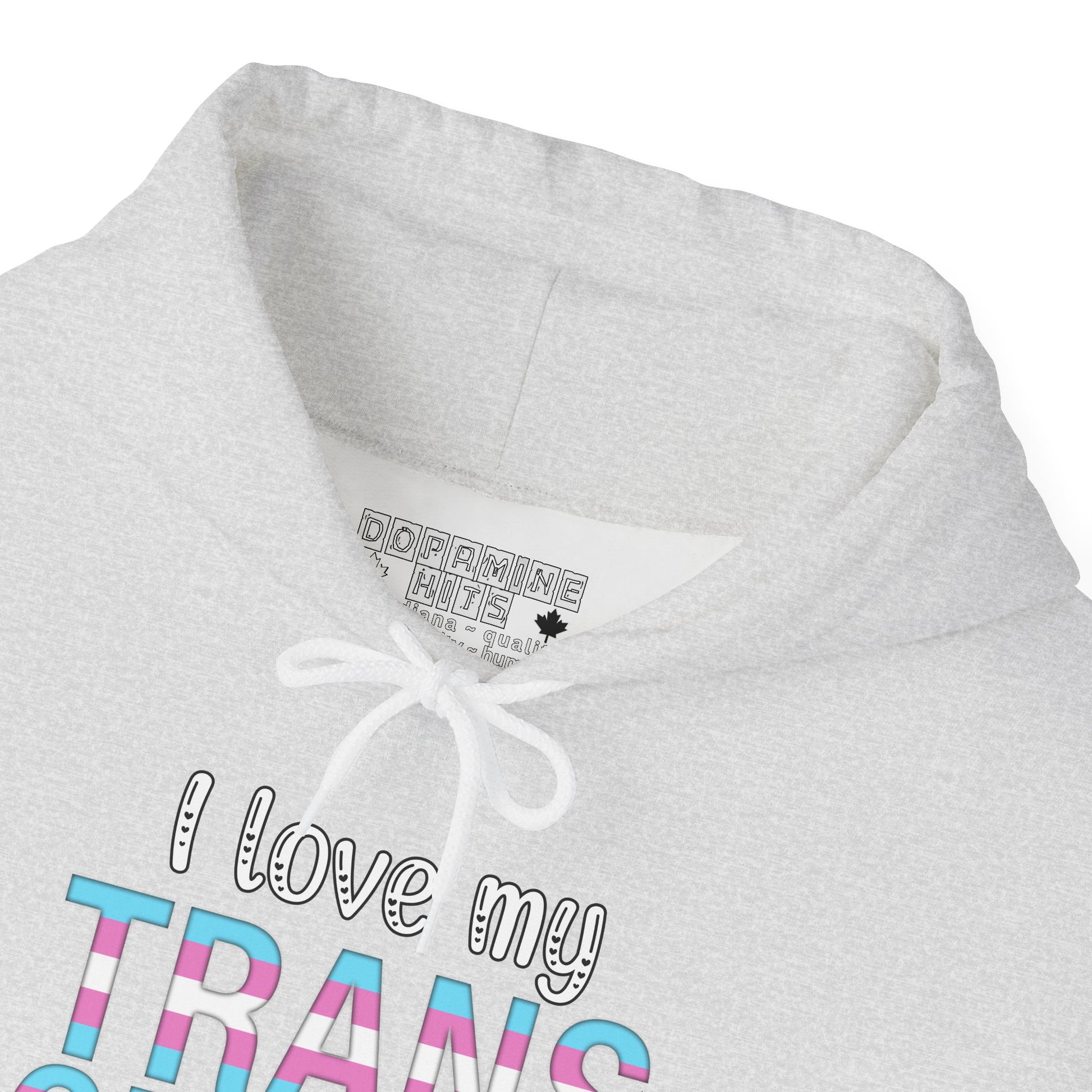 Gray hoodie with 'I love my TRANS' text and Dorminey label on a white background