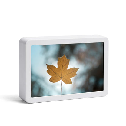 Fer Sure Youre In Canada! -  Rectangle LED Mirror Light