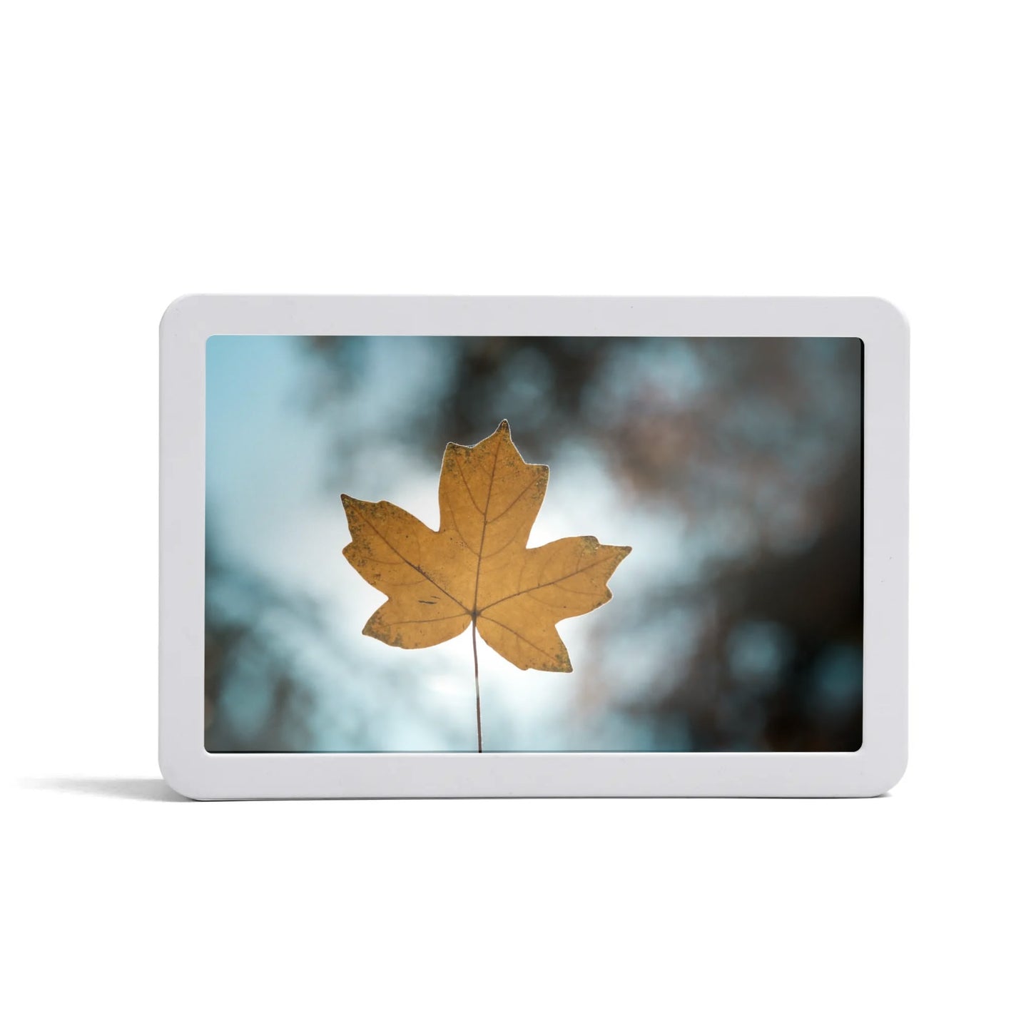 Fer Sure Youre In Canada! -  Rectangle LED Mirror Light