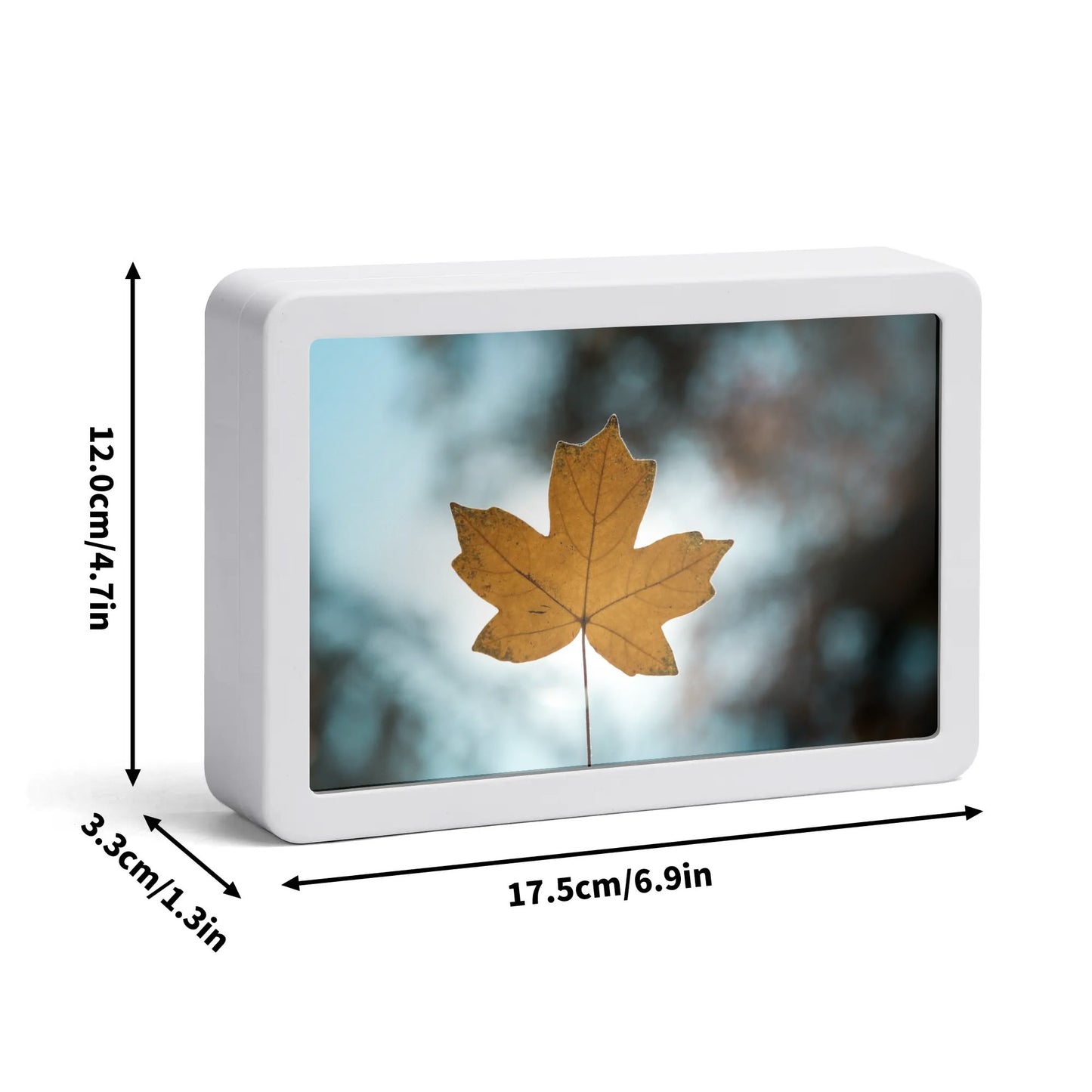 Fer Sure Youre In Canada! -  Rectangle LED Mirror Light