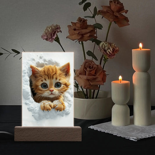 Emerging Kittens - Rectangular LED Acrylic Night Light and Wooden Base Table Décor