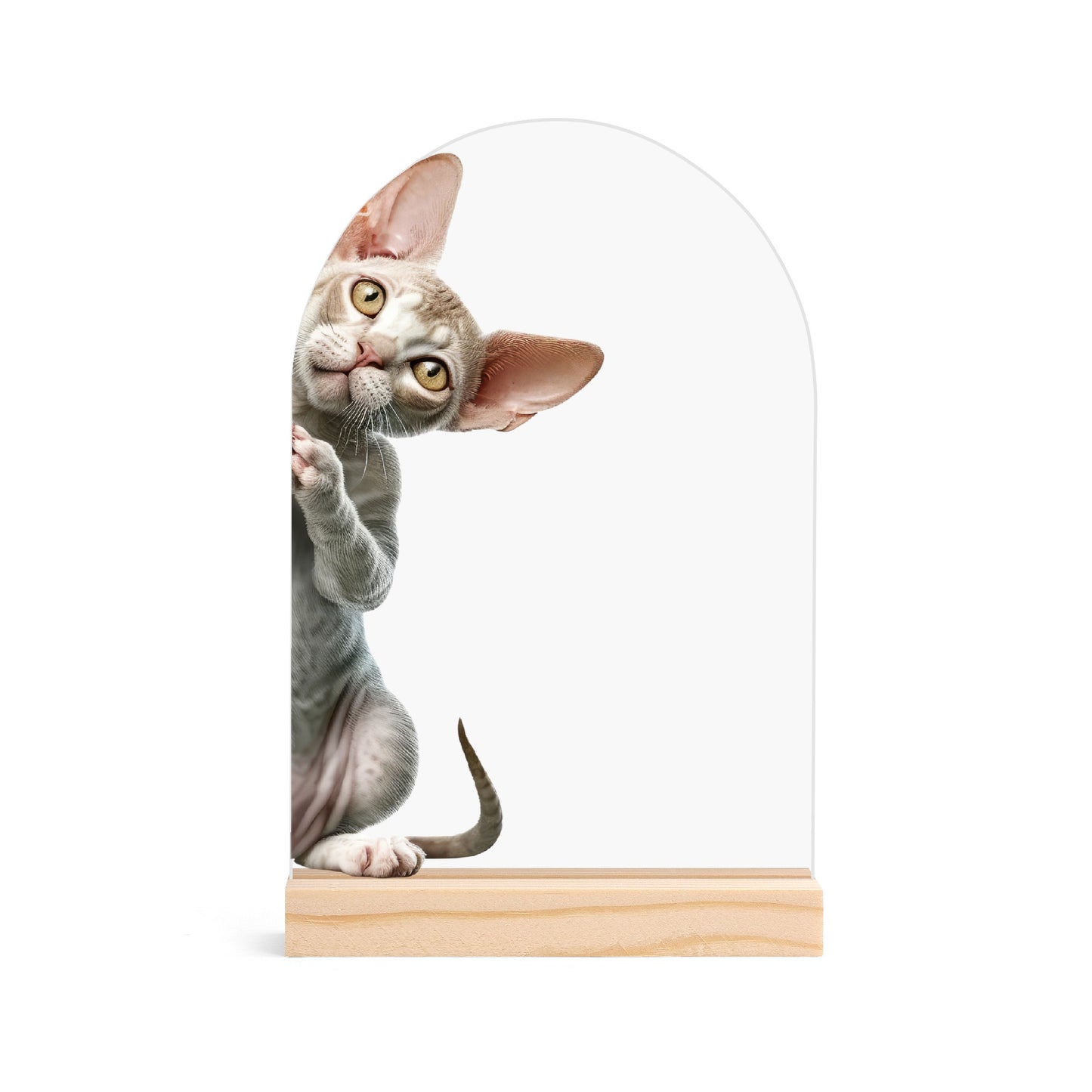 Peeking Cat - Lightweight Arch Acrylic Table Sign with Wood Stand