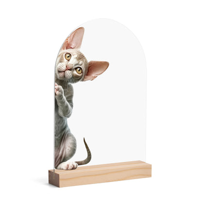 Peeking Cat - Lightweight Arch Acrylic Table Sign with Wood Stand