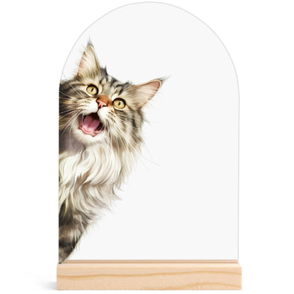 Peeking Cat - Lightweight Arch Acrylic Table Sign with Wood Stand