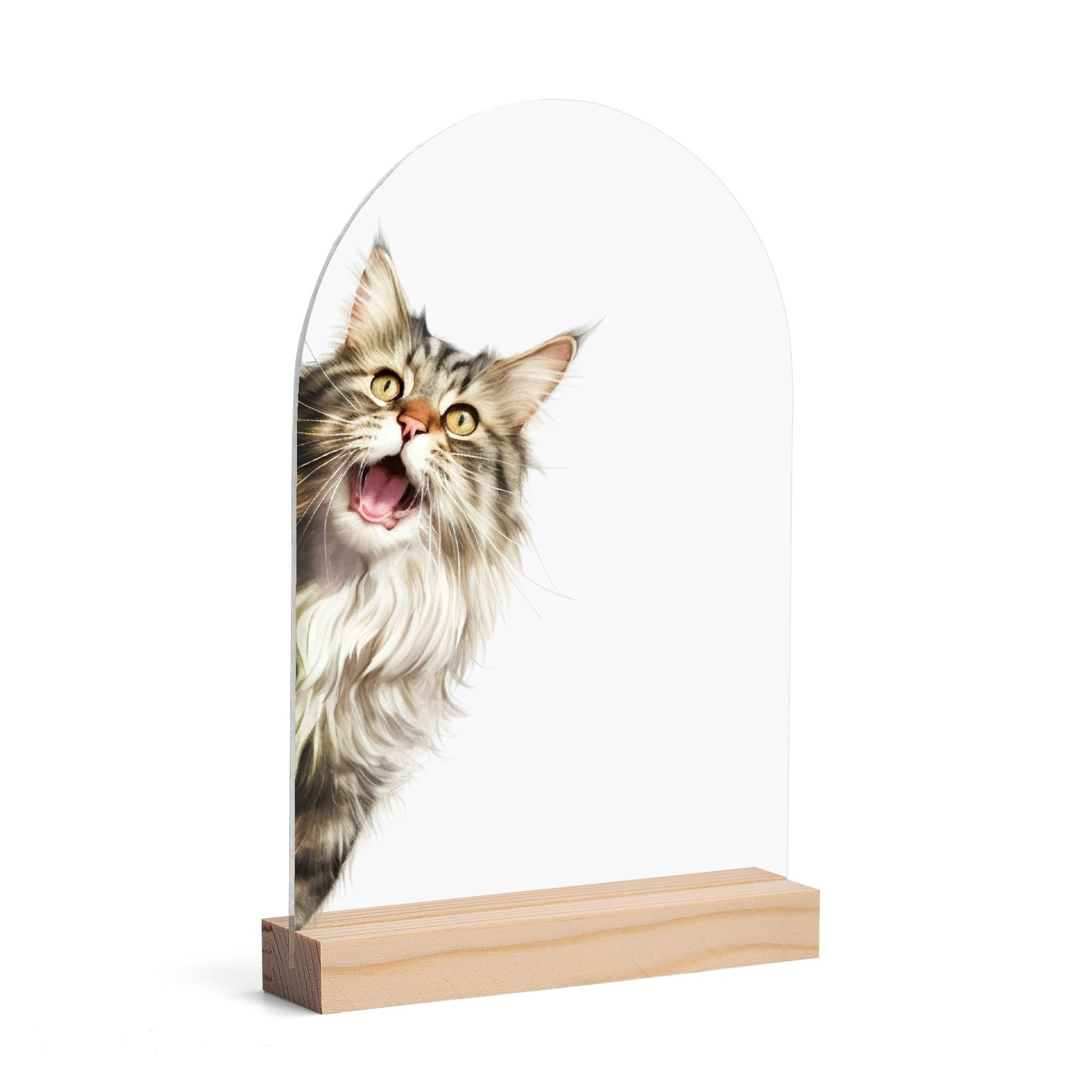 Peeking Cat - Lightweight Arch Acrylic Table Sign with Wood Stand