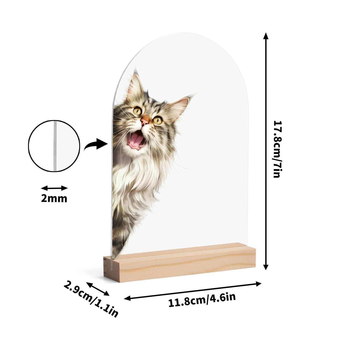 Peeking Cat - Lightweight Arch Acrylic Table Sign with Wood Stand