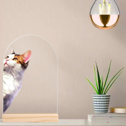 Peeking Cat - Lightweight Arch Acrylic Table Sign with Wood Stand