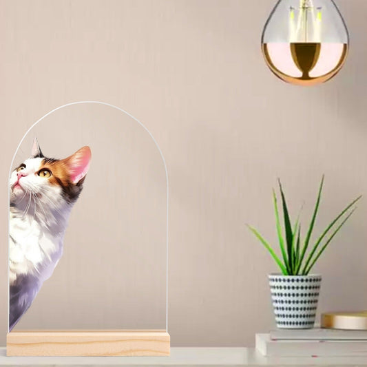 Peeking Cat - Lightweight Arch Acrylic Table Sign with Wood Stand