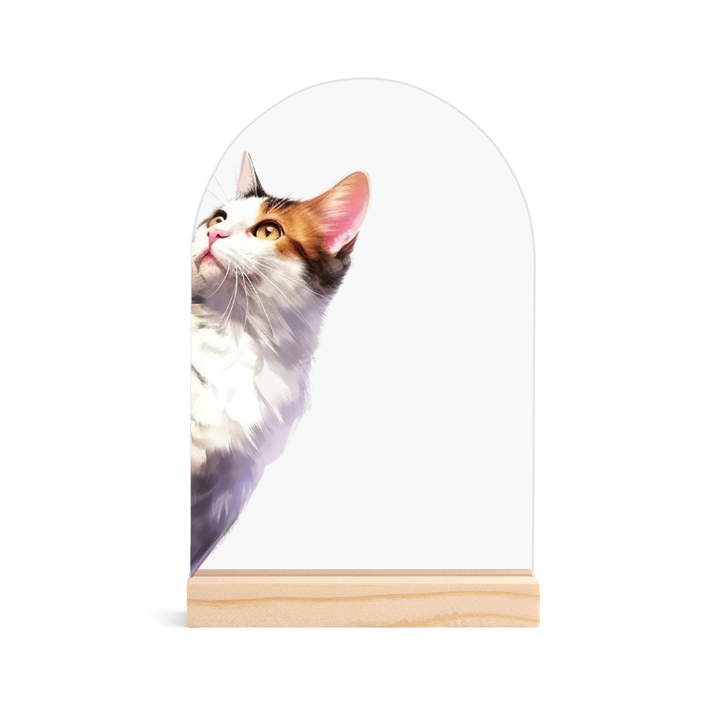 Peeking Cat - Lightweight Arch Acrylic Table Sign with Wood Stand