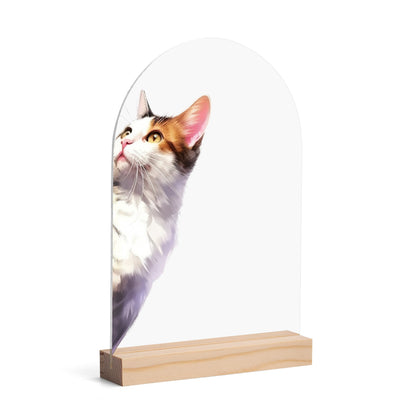 Peeking Cat - Lightweight Arch Acrylic Table Sign with Wood Stand