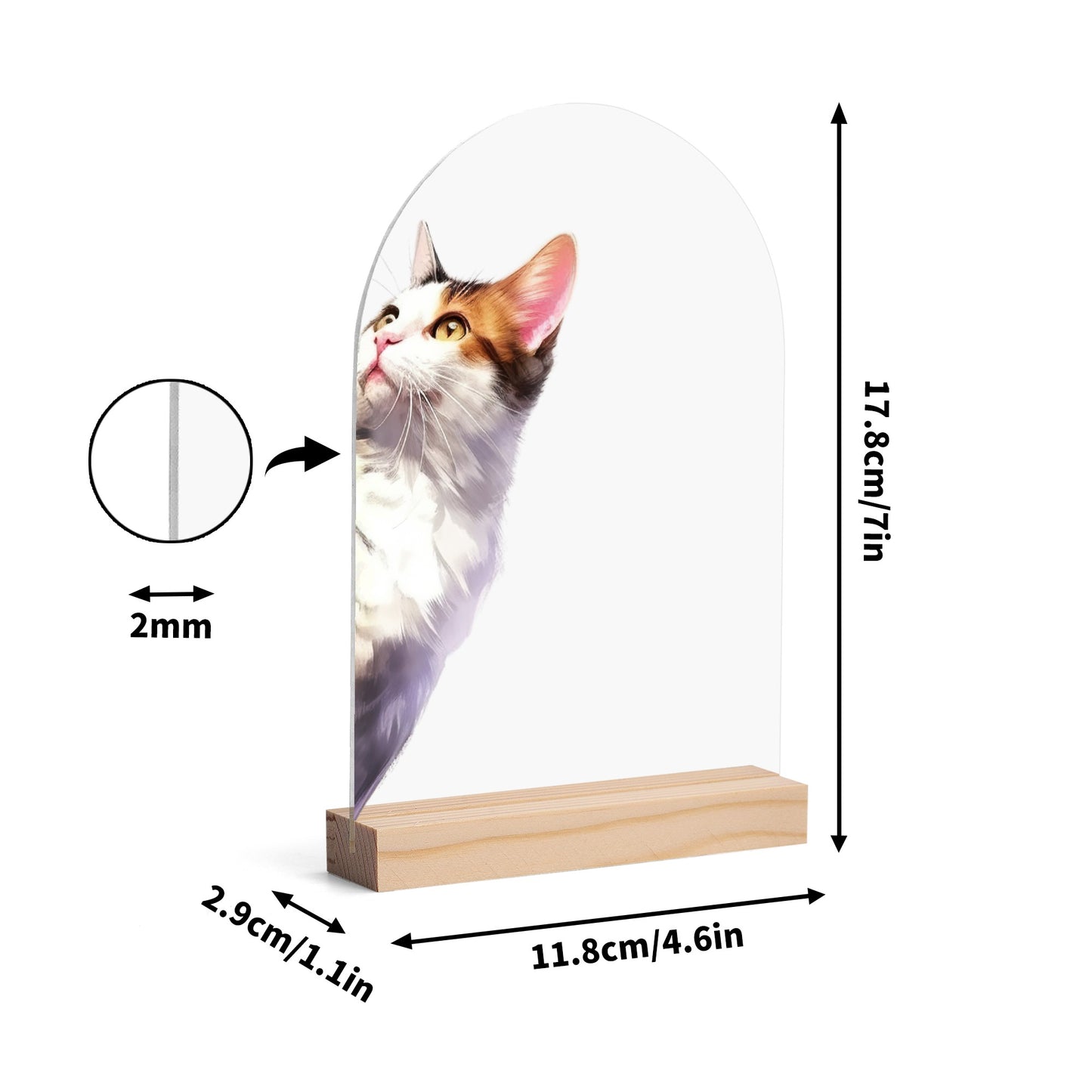 Peeking Cat - Lightweight Arch Acrylic Table Sign with Wood Stand