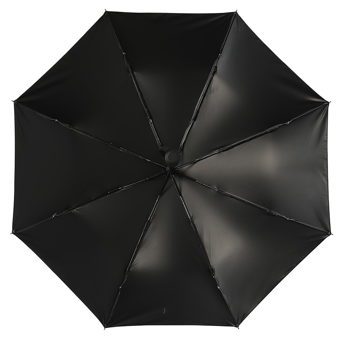 Apple Blossoms | Auto Umbrella with Black Underside