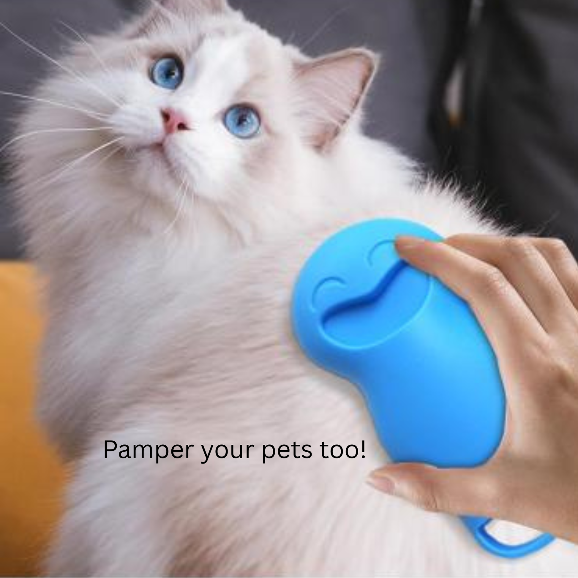 Cat being petted with a blue silicone brush, with text 'Pamper your pets too!'