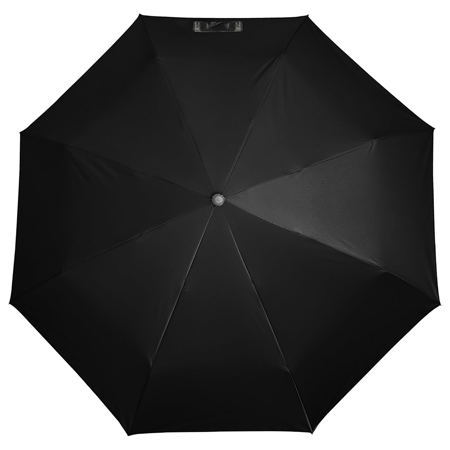 Neon Zebra | Automatic Umbrella with Print Inside - Black Outside