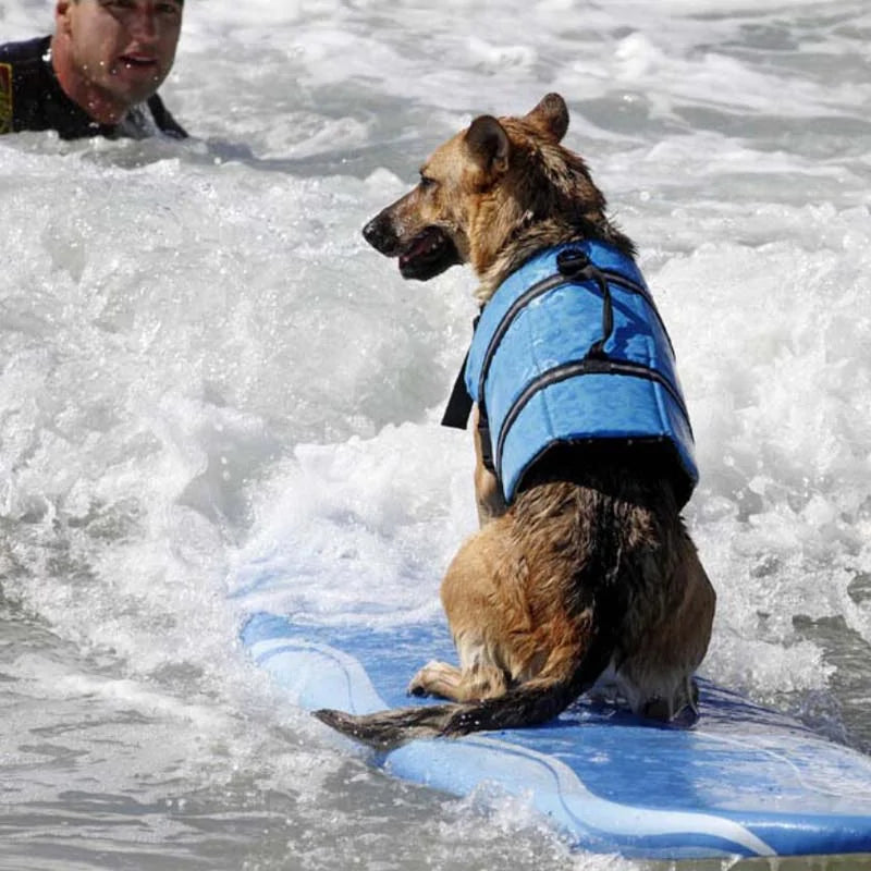 Dog Life Vest - For All Your Dog's Water Activities