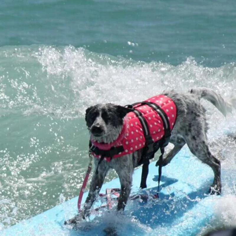 Dog Life Vest - For All Your Dog's Water Activities