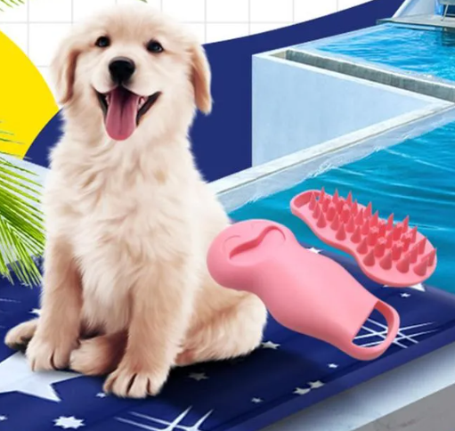 Puppy with a pink pet grooming tool on a pool deck
